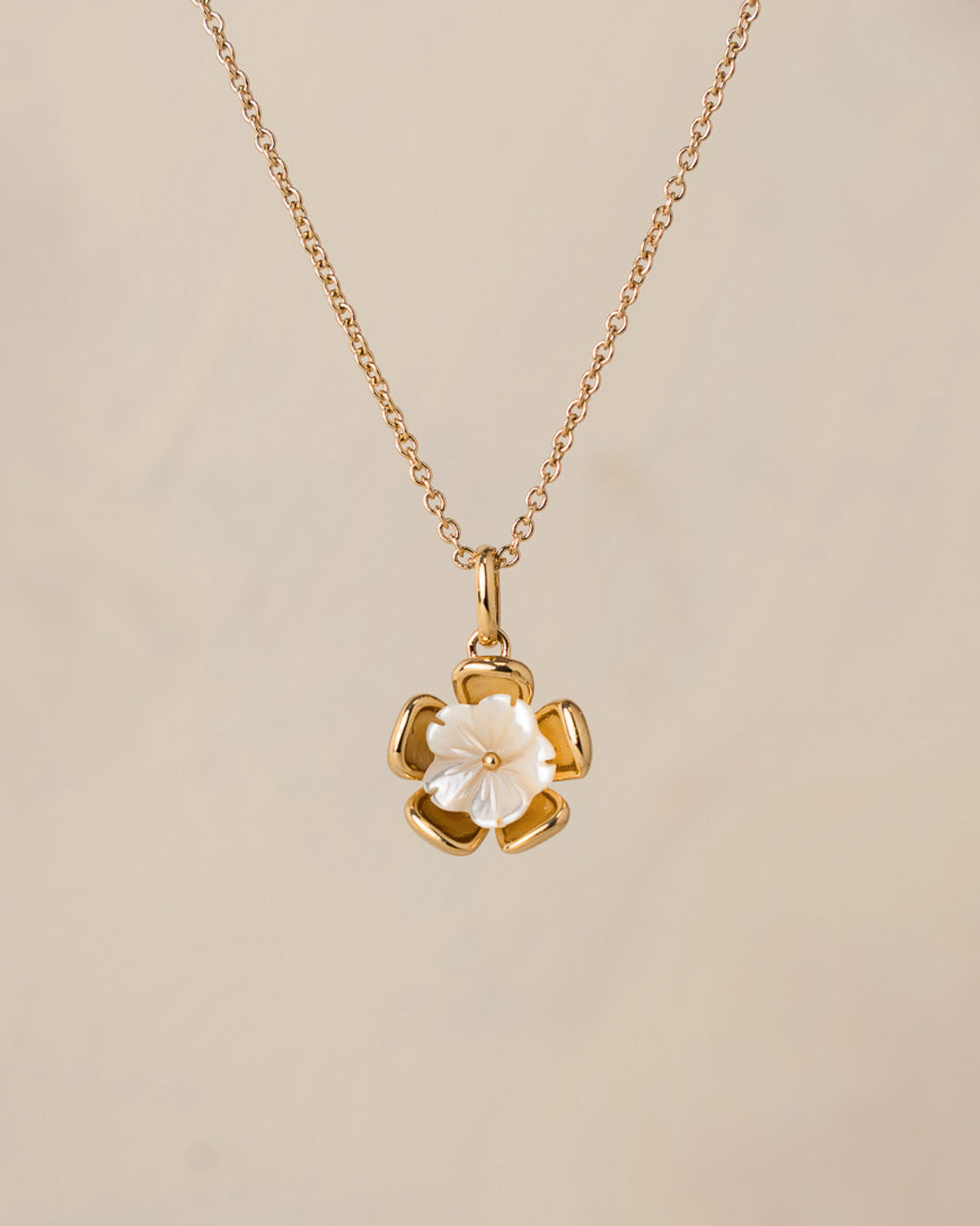Collier Begonia